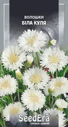 Насіння квітів Волошка Біла куля
