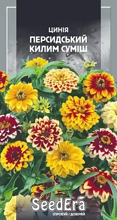 Насіння квітів Цинія низькоросла Персидський килим