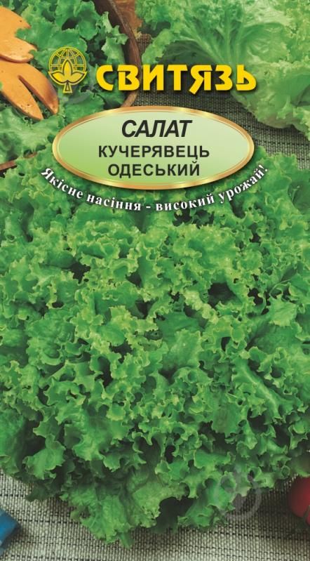 Одеський кучерявець, насіння салату 