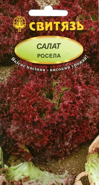 Росела, насіння салату