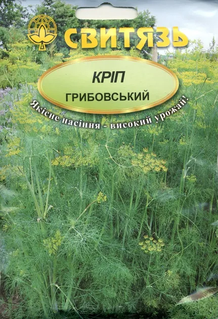 Насіння кропу Грибовський