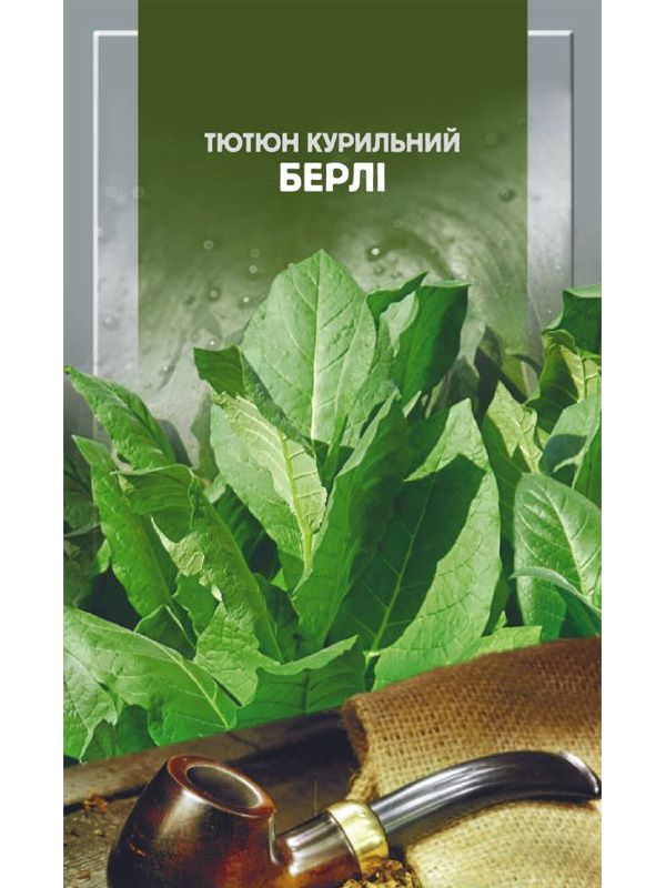 Насіння тютюну курильного Берлі