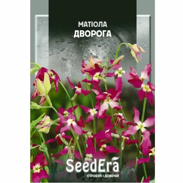 Насіння квітів Матіола дворога ("Нічна фіалка")