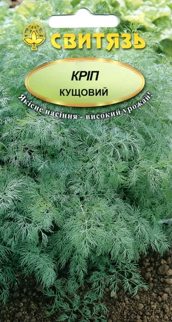 Насіння кропу кущовий