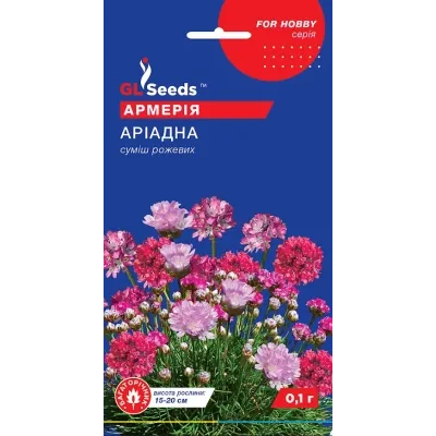 Насіння квітів Армерія Аріадна