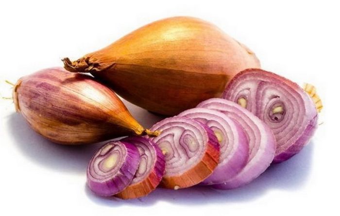 Цибуля шалот ("кущівка") синя