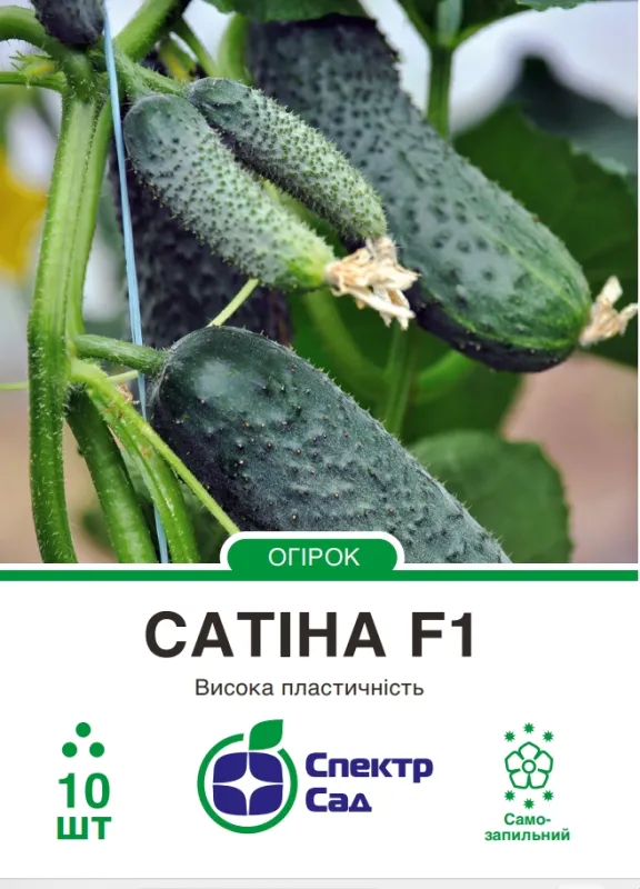 Сатіна F1, насіння огірка 