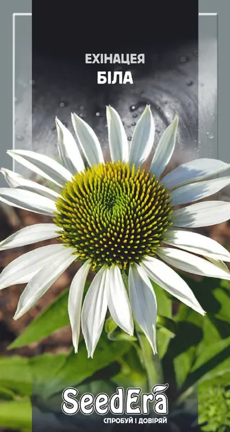 Насіння квітів Ехінацея біла