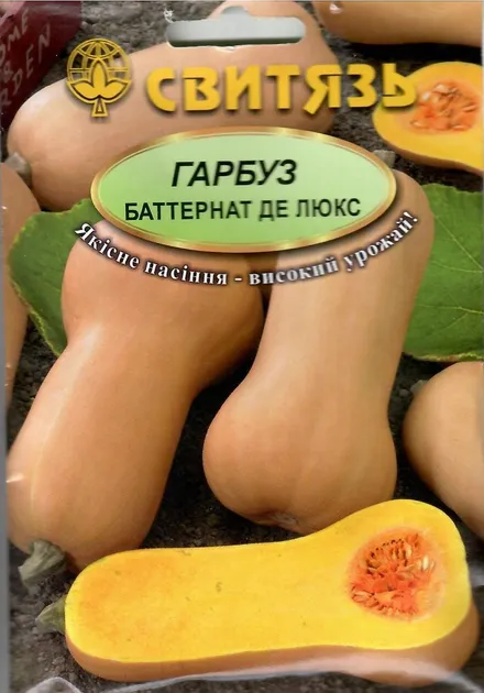 Насіння гарбуза Баттернат де люкс