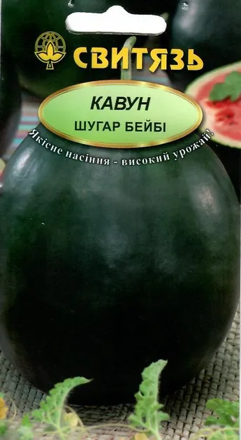 Насіння кавуна Шугар бейбі