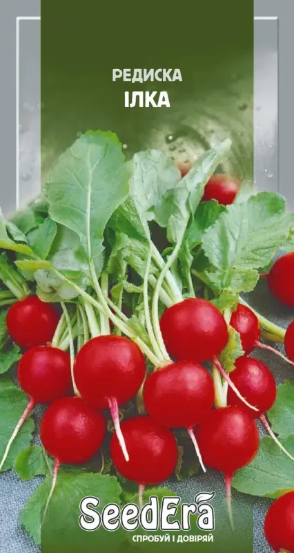 Насіння редиски Ілка