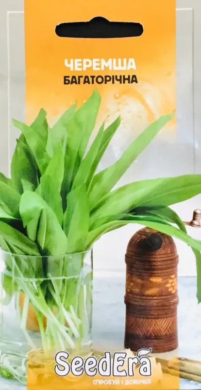 Насіння Черемші багаторічної