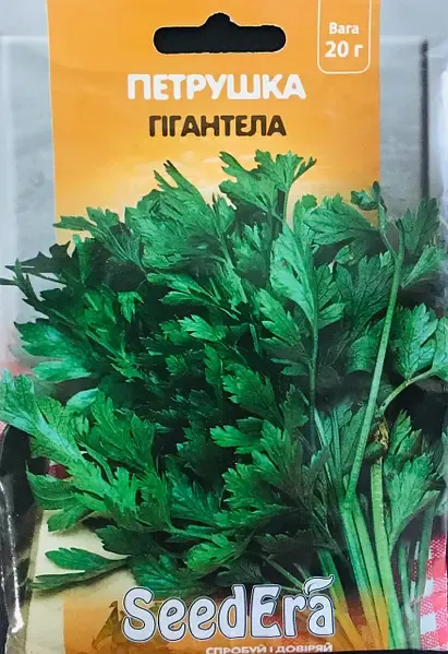 Насіння петрушки Гігантела SeedEra