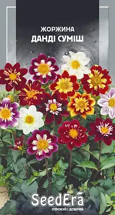Насіння квітів Жоржина мінлива Данді суміш