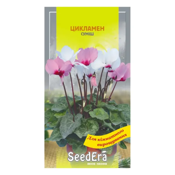 Насіння квітів Цикламен суміш