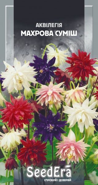 Насіння квітів Аквілегія махрова суміш
