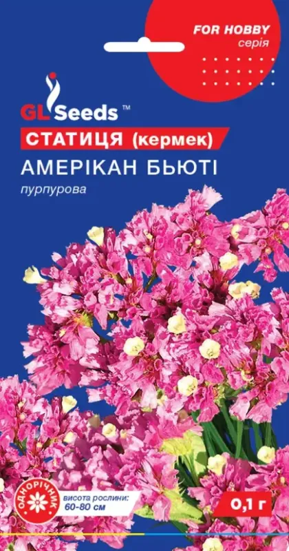 Насіння квітів Статиця Американ бьюті