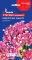 Насіння квітів Статиця Американ бьюті