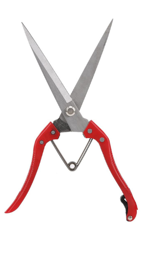 Секатор-ножиці подовжені