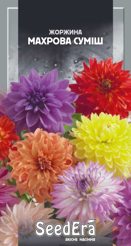 Насіння квітів Жоржина мінлива Махрова суміш