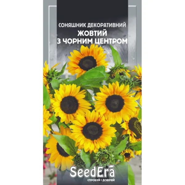Насіння квітів Соняшник декоративний Жовтий з чорним центром