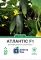 Насіння огірка Атлантіс F1