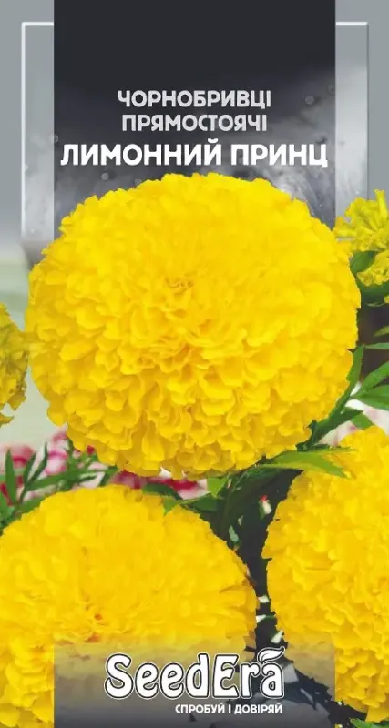 Насіння квітів Чорнобривці прямостоячі Лимонний принц