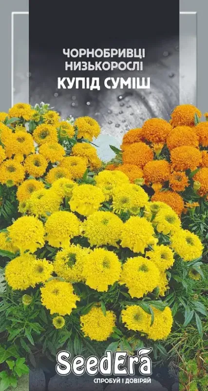 Насіння квітів Чорнобривці Купід суміш