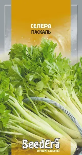 Насіння селери черешкової Паскаль