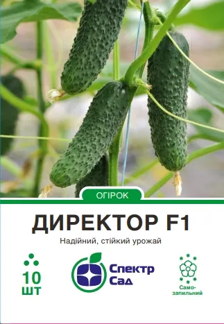 Директор F1, насіння огірка 