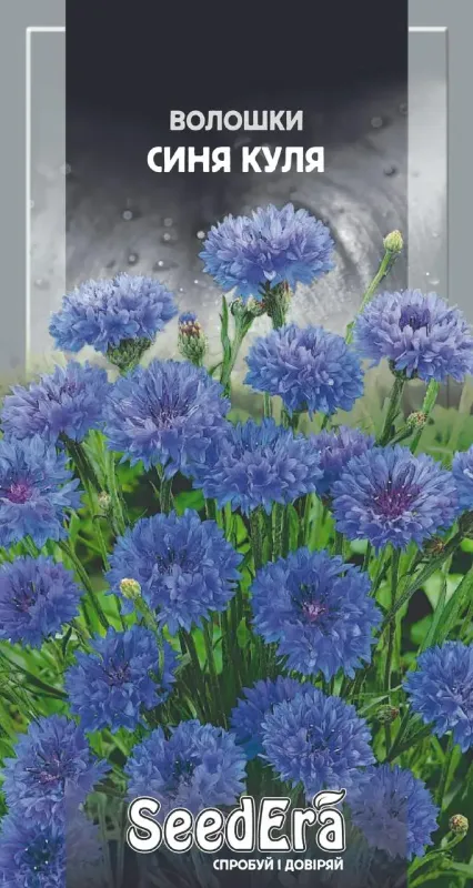 Насіння квітів Волошка махрова синя куля