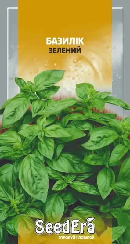 Насіння пряно-ароматичної культури Базилік Зелений
