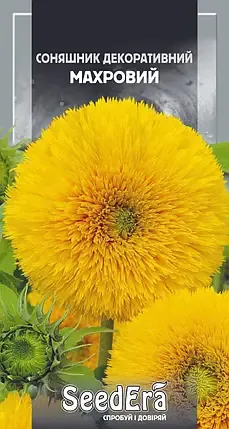 Насіння квітів Соняшник Махровий