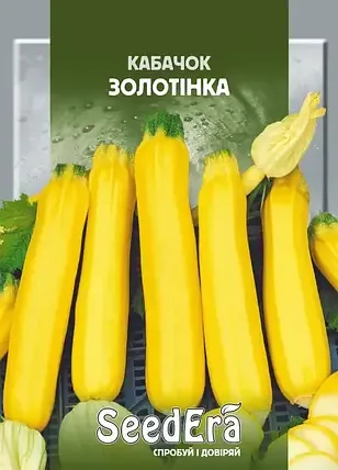 Насіння кущового кабачка Золотинка