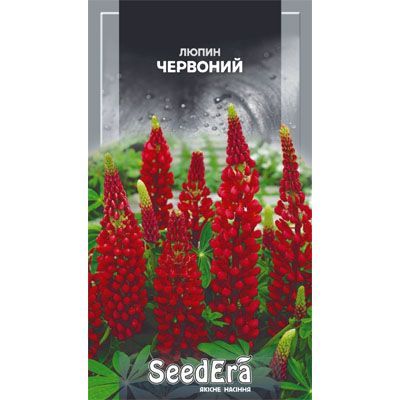 Насіння квітів Люпин багаторічний червоний