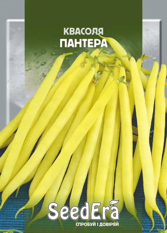 Насіння квасолі спаржевої Пантера