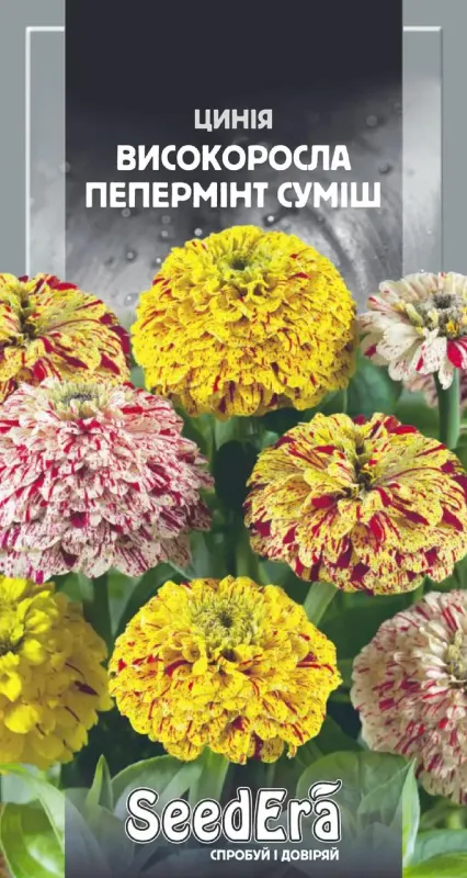 Насіння квітів Цинія Пепермінт високоросла суміш