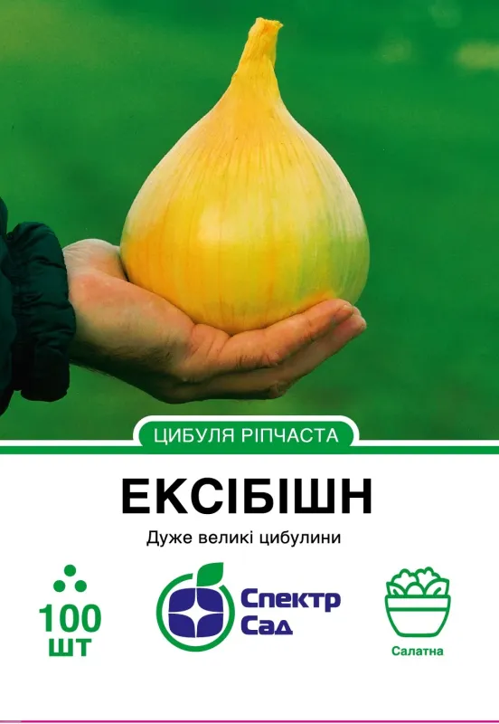 Ексібішн, насіння цибулі 