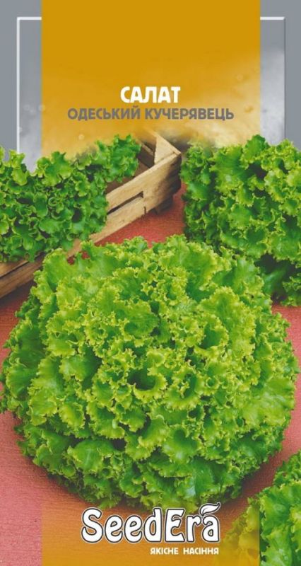 Насіння салату Одеський Кучерявець SeedEra