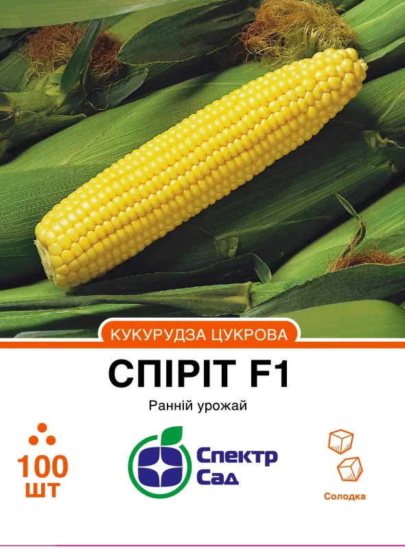 Спіріт F1, насіння  кукурудзи 