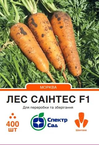 Насіння моркви Лес Саінтес F1