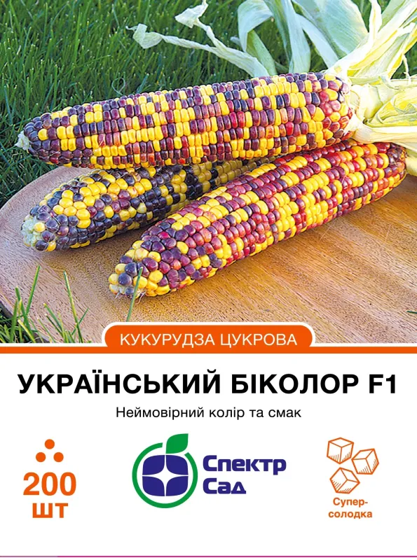 Насіння кукурудзи Український біколор F1