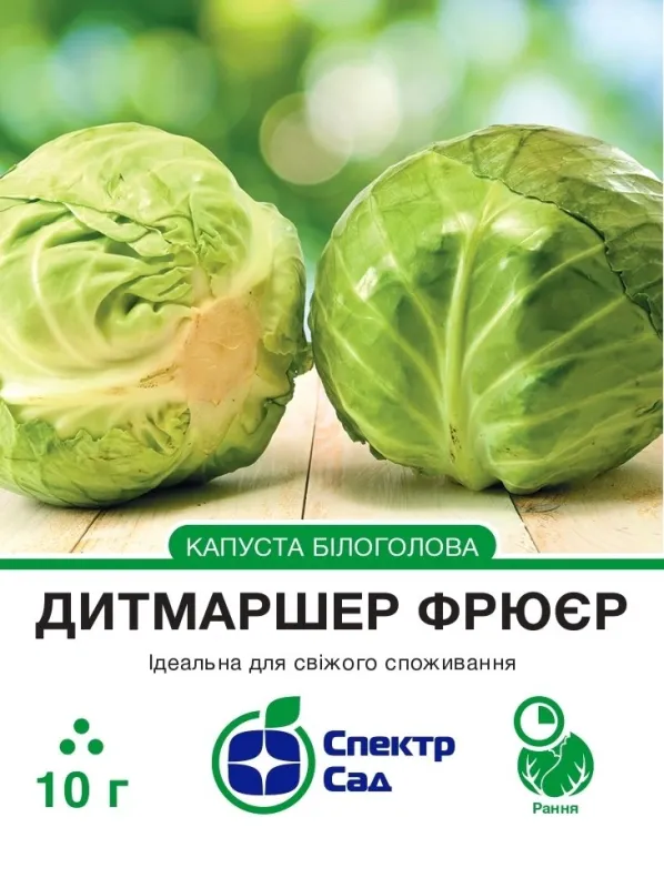 Насіння капусти білоголової Дитмашер Фрюєр
