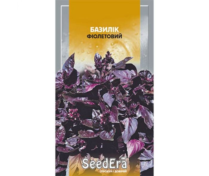 Насіння пряно-ароматичної культури Базилік Фіолетовий