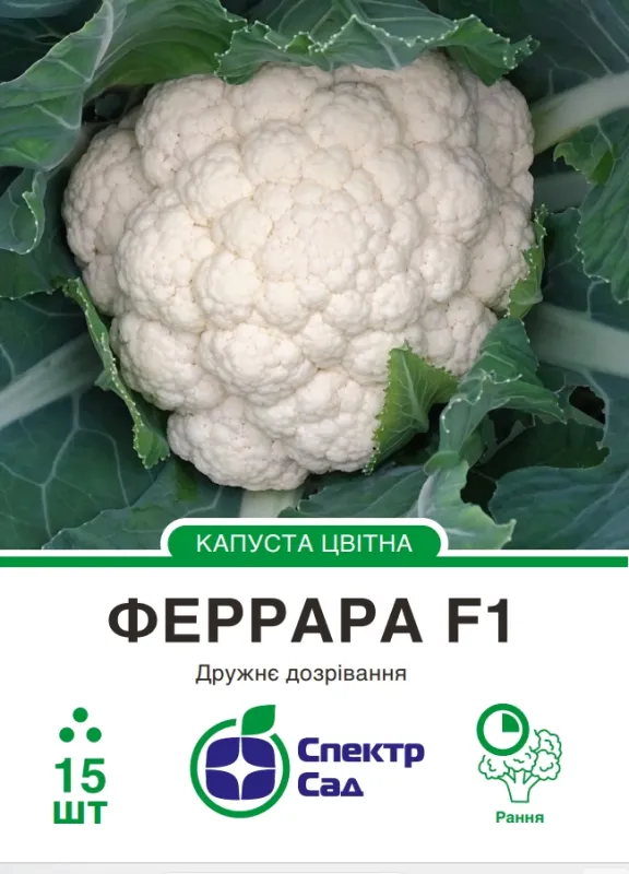 Насіння капусти цвітної Феррара F1