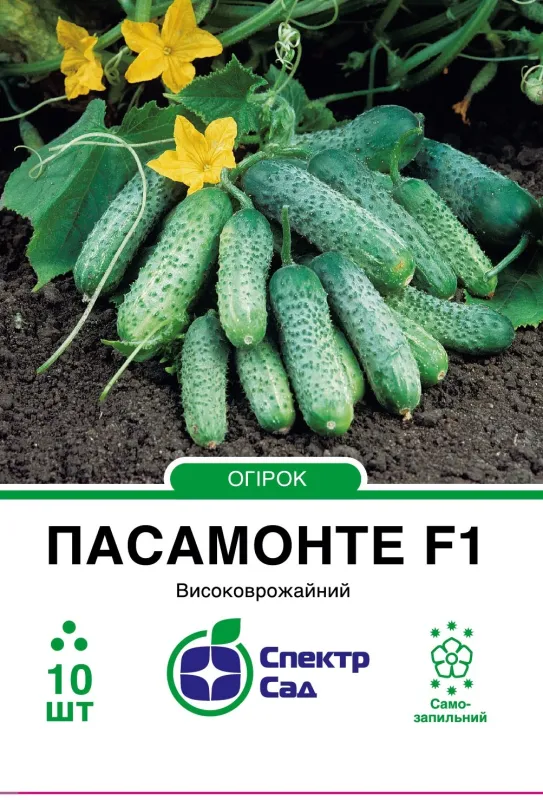 Пасамонте  F1, насіння огірка