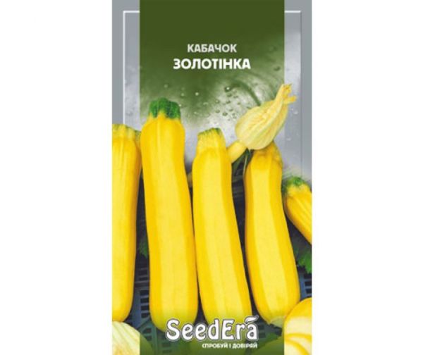 Насіння кущового кабачка Золотинка