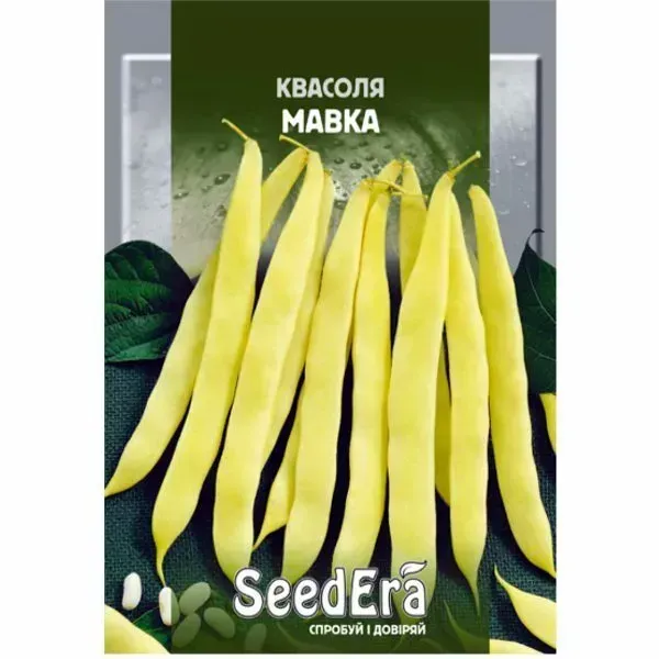 Насіння квасолі кущової Мавка
