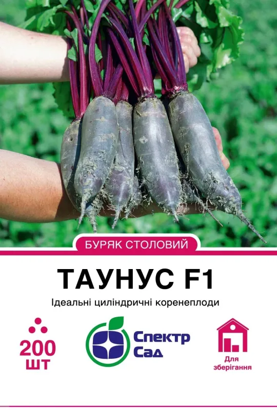 Таунус F1, насіння буряка