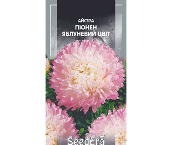 Насіння квітів Айстра Яблуневий цвіт